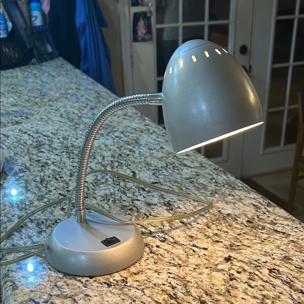 Silver Desk Lamp with Adjustable Neck